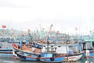 Gia Lai chủ động triển khai ứng phó với bão số 15