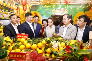 Khai mạc Lễ hội trái cây Bắc Ninh 2025: Tinh hoa nông sản Việt