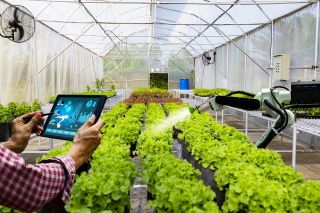 Xây dựng nông thôn mới là một trong những chính sách trọng tâm