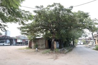 Hải Phòng: Tổ chức cưỡng chế kiểm đếm bắt buộc phục vụ Dự án Vườn hoa tại đường vòng Cầu Niệm