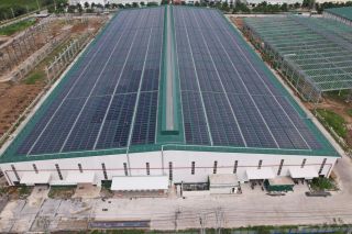 Công ty thép Hòa Phát Long An tự chủ gần 40% điện sản xuất nhờ hệ thống điện mặt trời