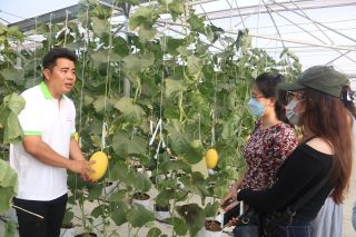 Phủ xanh vùng hoang hóa, tạo sinh kế bền vững