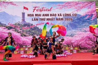 Tuyên Quang khai mạc Festival hoa mai anh đào lần thứ nhất năm 2026