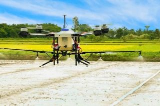 Hỗ trợ nông dân phát triển lúa chất lượng cao, phát thải thấp