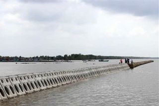 Hơn 26.800 tỷ đồng cho hệ thống đê kè ứng phó biến đổi khí hậu tại Cà Mau