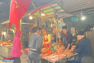 Giá heo hơi tăng nhanh cận Tết, thịt lợn bán lẻ tại Hà Nội nhích từng ngày
