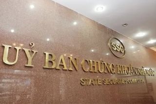 Vi phạm trong lĩnh vực chứng khoán, Tập đoàn Sông Đà Nhật Nam bị phạt