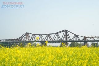 Thời tiết ngày 7/3: Bắc Bộ sáng sớm có sương mù, Hà Nội trời rét