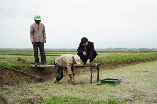 Quảng Trị: Có 6.000ha lúa tưới ngập khô xen kẽ trong vụ đông - xuân