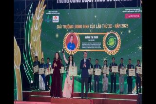 Lâm Đồng: Nữ giám đốc 9X dám nghĩ, dám làm, tiên phong nông nghiệp công nghệ cao