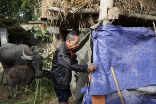 Thanh Hoá khẩn trương triển khai các biện pháp chủ động ứng phó với đợt rét đậm, rét hại