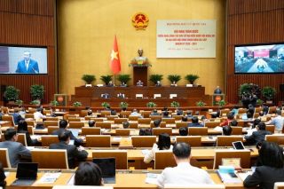 Người nào không được ứng cử đại biểu Quốc hội và đại biểu Hội đồng nhân dân?