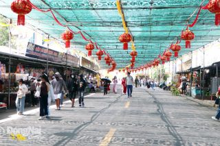 Đồng Nai: Gần 10 nghìn người tham quan, lễ chùa dịp năm mới tại núi Chứa Chan