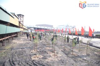 Công ty Tuyển than Cửa Ông phát động “Tết trồng cây đời đời nhớ ơn Bác Hồ” Xuân Bính Ngọ 2026