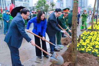 Hà Nội đồng loạt phát động “Tết trồng cây” Xuân Bính Ngọ 2026, lan tỏa tinh thần xanh trong cộng đồng