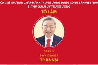 Các đồng chí lãnh đạo cấp cao ứng cử đại biểu Quốc hội khóa XVI