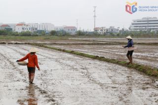Quảng Ninh rộn ràng xuống đồng đầu Xuân Bính Ngọ 2026