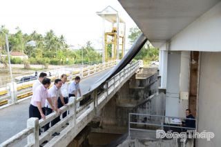 Đồng Tháp chủ động ứng phó hạn, mặn từ sớm, từ xa