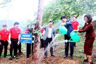 Agribank tham gia Chương trình “Về nguồn” và “Tết trồng cây” ngành Ngân hàng tại Tuyên Quang