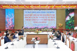 Lâm Đồng gỡ nút thắt quỹ đất, thu hút vốn tư nhân đầu tư y tế chất lượng cao