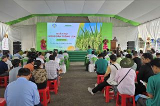 Ngày hội nông dân trồng lúa 2026: Thúc đẩy sản xuất lúa chất lượng cao, giảm phát thải ở ĐBSCL
