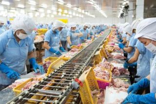 Cổ phiếu ANV lao dốc gần 17%, lãnh đạo doanh nghiệp muốn mua vào 1 triệu cổ phiếu