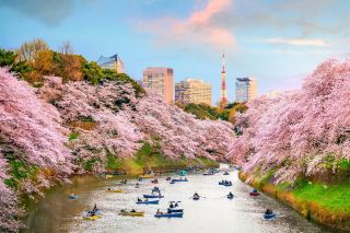 Từ ngày 1/4, Nhật Bản tăng phí visa với du khách Việt Nam