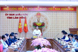 Lâm Đồng chủ động “giữ nhịp” thị trường nông sản và vật liệu xây dựng