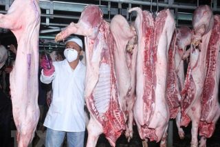 Lào Cai tăng cường kiểm soát hoạt động giết mổ và kinh doanh sản phẩm động vật không bảo đảm an toàn