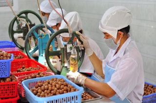 Nâng tầm nông sản đặc trưng Lâm Đồng: Mở rộng thị trường, gia tăng giá trị