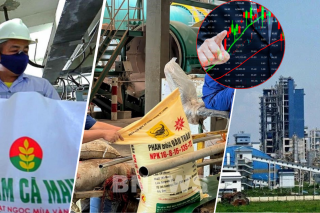 Lợi nhuận quý I phân hóa mạnh: Nhiều ngành tăng tốc, điện và khu công nghiệp hụt hơi