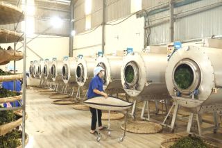 Lào Cai thúc đẩy công nghiệp nông thôn bằng chương trình khuyến công năm 2026
