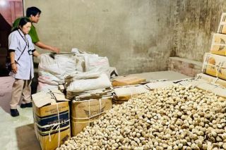 Gia Lai: Thành lập 3 đoàn liên ngành, đồng loạt kiểm tra an toàn thực phẩm toàn tỉnh