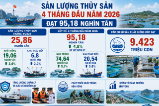 Ninh Bình: Sản lượng thủy sản 4 tháng đầu năm 2026 đạt 95,18 nghìn tấn