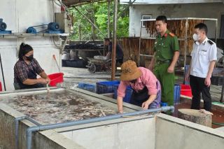 Bắc Ninh: Phát hiện cơ sở kinh doanh hơn 3 tấn lòng lợn bốc mùi