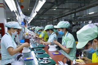 Thị trường lao động dịch chuyển mạnh sang xu hướng học nghề và nâng cao kỹ năng để tìm cơ hội việc làm mới