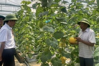 Hải Phòng: Hội thảo đẩy mạnh ứng dụng chuyển đổi số trong quản lý vùng trồng nông nghiệp