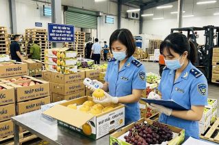Triển khai phân cấp kiểm tra an toàn thực phẩm đối với thực phẩm có nguồn gốc thực vật nhập khẩu từ ngày 1/9