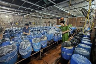Bắc Ninh: Khởi tố 3 đối tượng sản xuất, tiêu thụ gần 1.000 tấn giá đỗ ngâm hóa chất cấm
