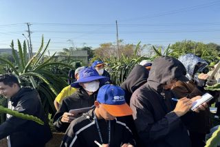 HTX Thanh long sạch Hòa Lệ: Điểm đến trải nghiệm hấp dẫn giữa miền quê Lâm Đồng