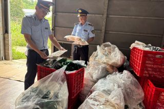 Lạng Sơn: Phát hiện, xử lý hơn 7.000 áo lót phụ nữ có dấu hiệu nhập lậu