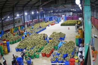 Lâm Đồng siết kiểm soát dư lượng thuốc bảo vệ thực vật, nâng chất lượng nông sản xuất khẩu