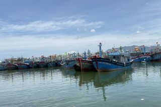 Siết quản lý đội tàu, xử lý dứt điểm vi phạm để gỡ “thẻ vàng” IUU