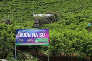 Khoa học, công nghệ mở hướng phát triển kinh tế nông nghiệp vùng cao