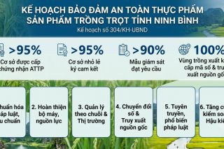 Ninh Bình: Siết kiểm soát an toàn thực phẩm đối với nông sản trồng trọt