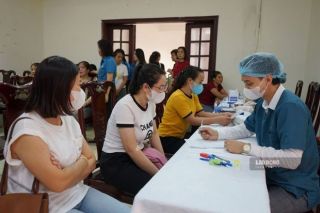 Tổ chức đấu thầu lựa chọn nhà đầu tư Dự án Bệnh viện Đa khoa phường Hàm Rồng