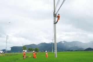 An toàn lao động - Nền tảng cho kết quả sản xuất kinh doanh 8 tháng của Công ty Điện lực Điện Biên