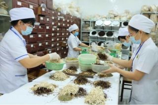 Đề xuất mở rộng danh mục thuốc y học cổ truyền được bảo hiểm y tế chi trả