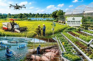 Nông nghiệp tìm “chìa khóa” tăng trưởng từ giá trị gia tăng