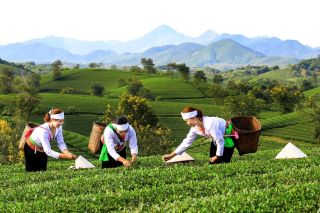 Phú Thọ kết nối OCOP với chuỗi giá trị du lịch